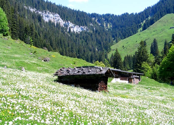 Hüttli im Rischerli Foto: Fritz Bieri