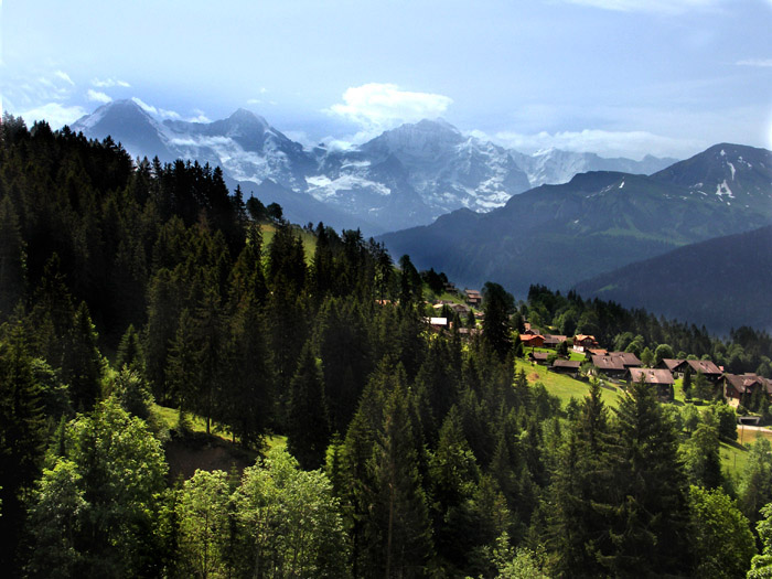 Waldegg vom Rischerli / Foto: Heinz Rieder