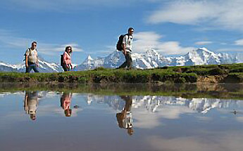 » Wandergebiet Niederhorn / Foto: F.Bieri