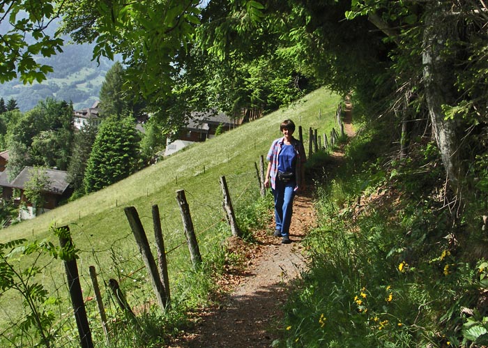 Spirenwald, oberhalb Obere Matte / Foto: Heinz Rieder