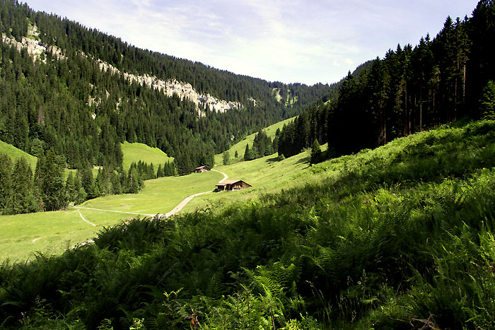 Rischerli von der Waldegg / Foto: Heinz Rieder