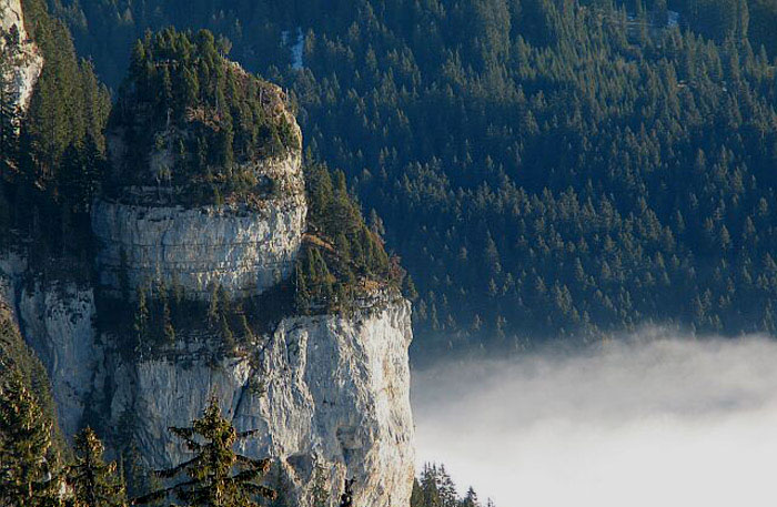 Beatenberg Dorf / Birenfluh von oben (Foto: Fritz Bieri)