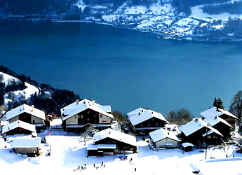 Spirenwald / Thunersee Därligen / Foto: Heinz Rieder