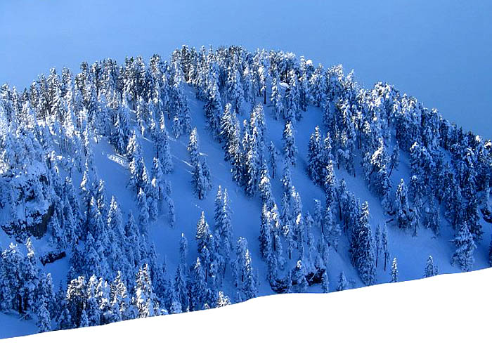 Waldkuppe / Foto: Fritz Bieri