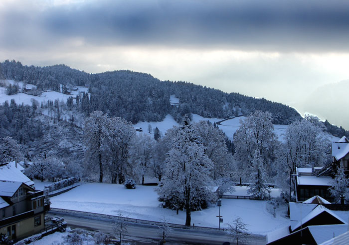 Wydi Spirenwald im Morgenlicht / Foto: Heinz Rieder